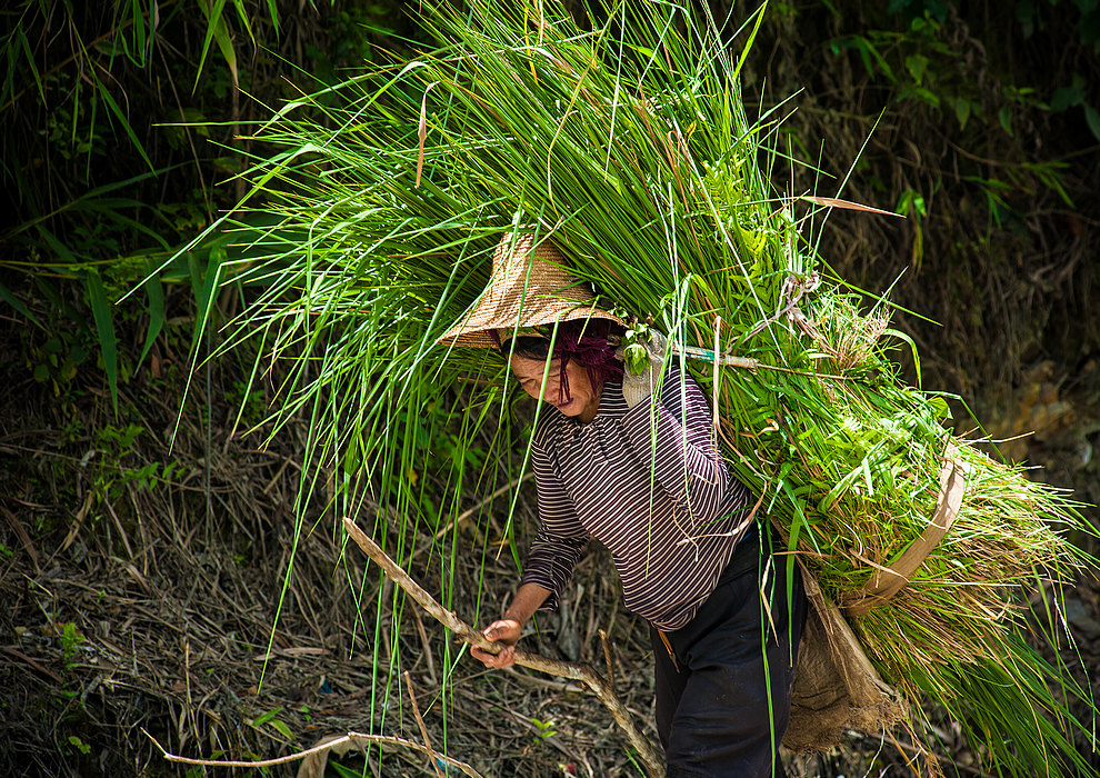 Kobieta z Yuanyang (Yunnan (Chiny) 2012, część 3/2)